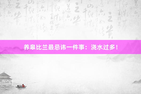 养皋比兰最忌讳一件事:浇水过多!